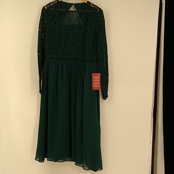 TRUTH & FABLE green Lace A-Line Cocktail Dress - Picture 4 of 8